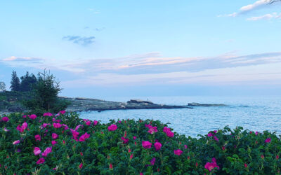 My Travels, Art, Process, Mentoring, Classes, Blogs to Come